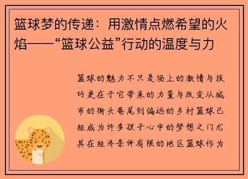篮球梦的传递：用激情点燃希望的火焰——“篮球公益”行动的温度与力量