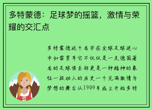 多特蒙德：足球梦的摇篮，激情与荣耀的交汇点