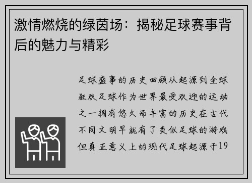 激情燃烧的绿茵场：揭秘足球赛事背后的魅力与精彩