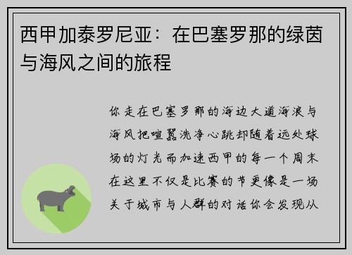 西甲加泰罗尼亚：在巴塞罗那的绿茵与海风之间的旅程