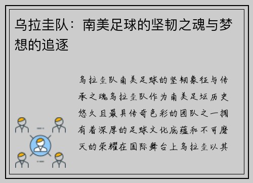 乌拉圭队：南美足球的坚韧之魂与梦想的追逐